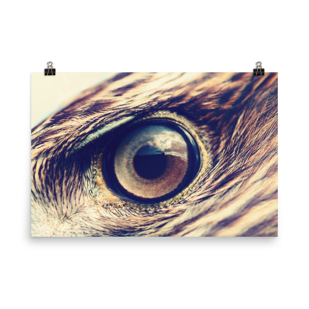 Close-up Eagle Eye Color Tone Rustic Bird / Animal / Wildlife Photo Loose Wall Art Print