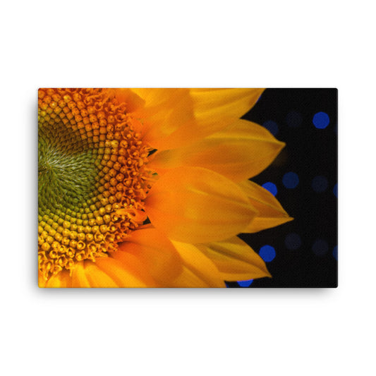 Close-up Sunflower Floral Botanical Nature Photograph Canvas Wall Art Prints