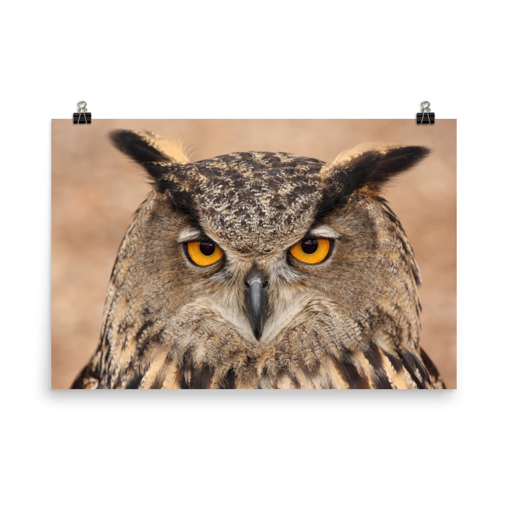 Close-up Yellow Eurasian Eagle Owl Rustic Bird / Animal / Wildlife Photo Loose Wall Art Print