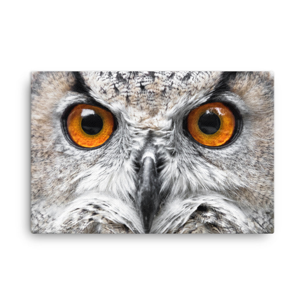 Close-up Yellow Owl Eyes Animal Wildlife Photograph Canvas Wall Art Print