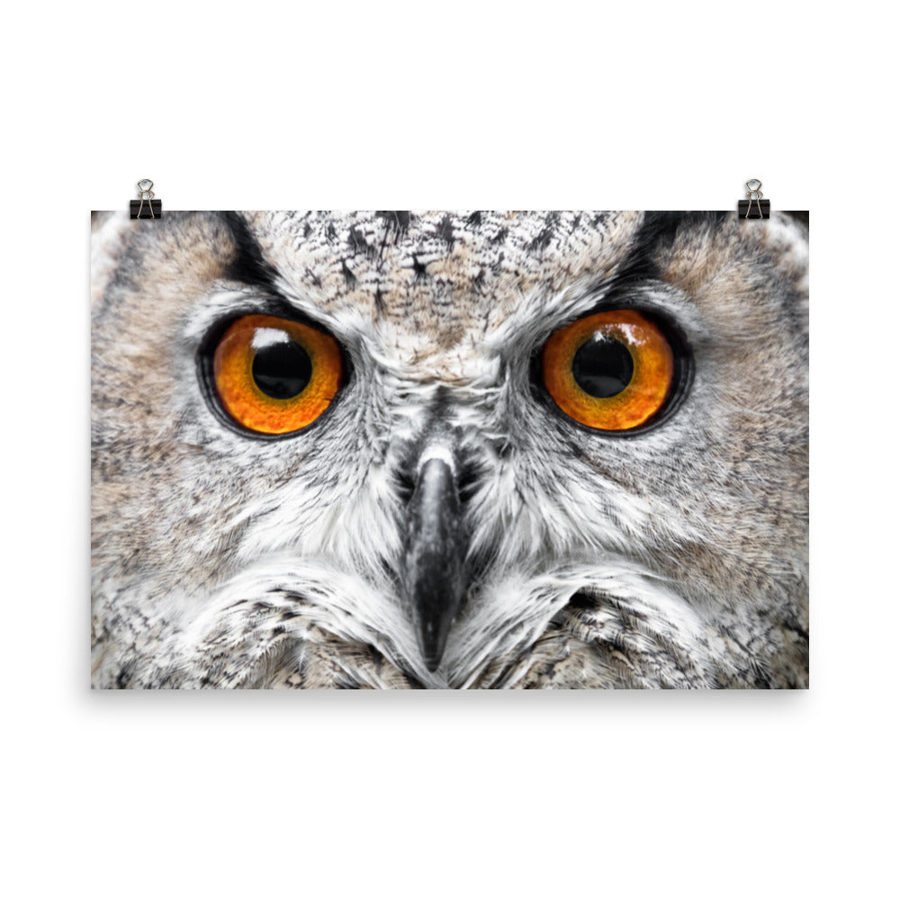 Close-up Yellow Owl Eyes Rustic Bird / Animal / Wildlife Photo Loose Wall Art Print