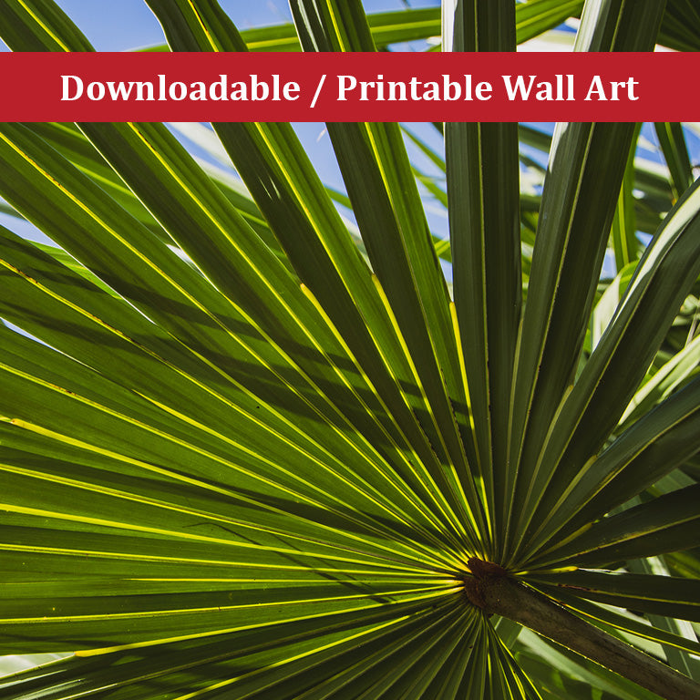 Colorized Wide Palm Leaves Botanical Nature Photo DIY Wall Decor Instant Download Print - Printable - PIPAFINEART