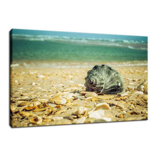 Daydreams on the Shore Nature / Coastal Photo Fine Art Canvas Wall Art Prints  - PIPAFINEART