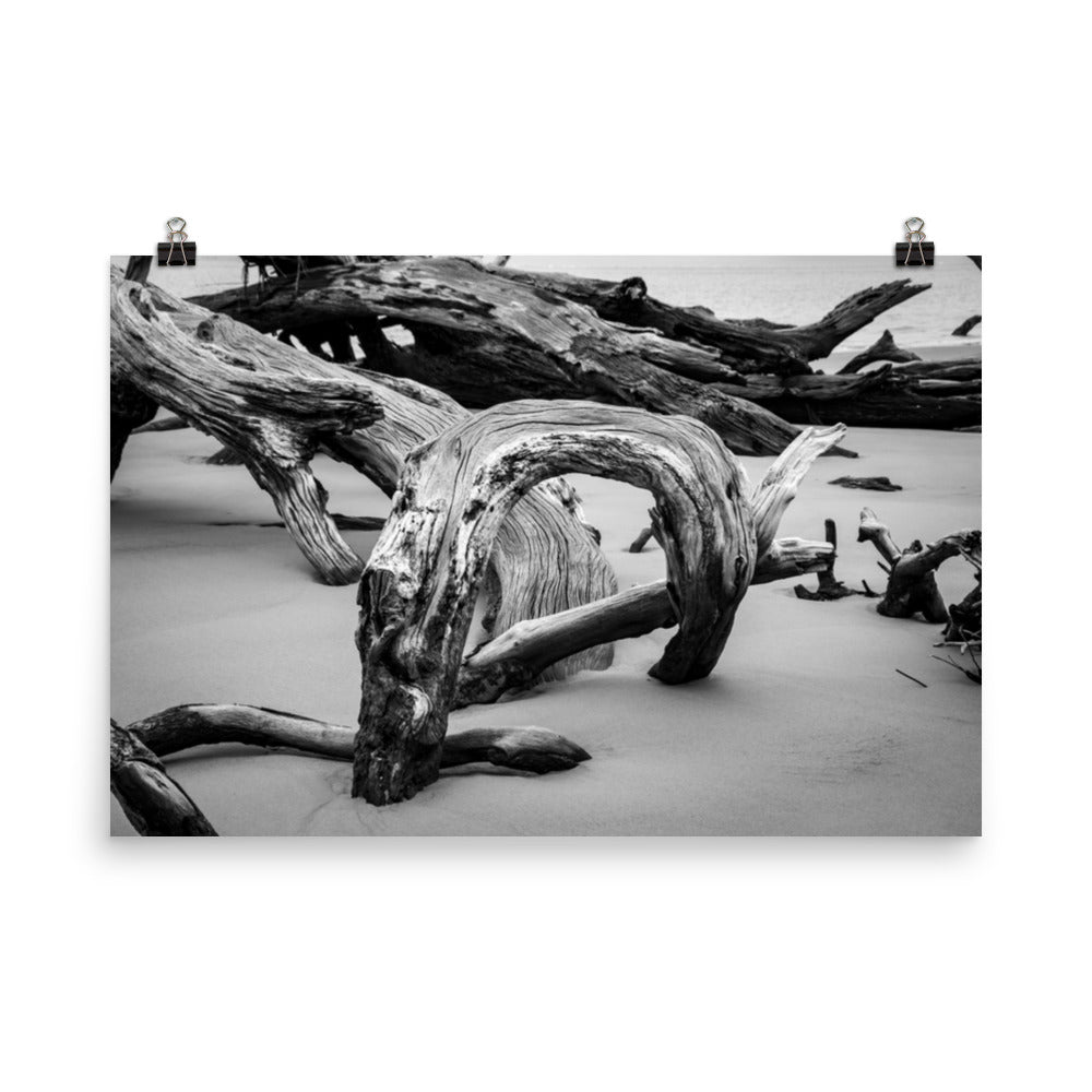 Seaside Prints For Sale: Dead Tree Boneyard Beach Florida 5 Black and White Rustic Landscape Photo - Loose Wall Art Print