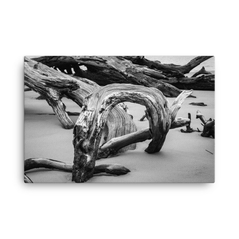 Dead Tree Boneyard Beach Florida 5 Black and White Rustic Landscape Photo Canvas Wall Art Print