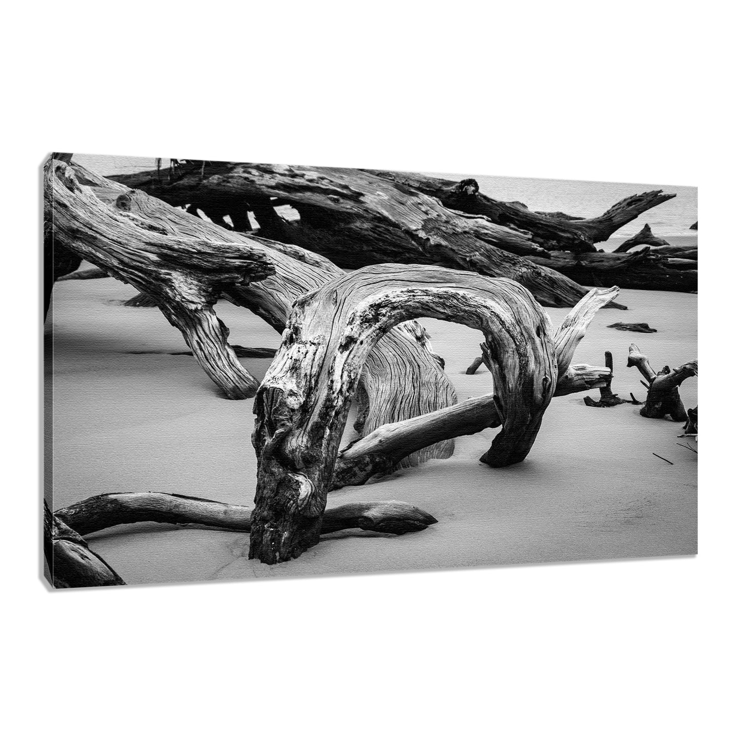 Coastal Black And White Prints: Dead Tree Boneyard Beach Florida 5 Black and White Rustic Landscape Photo