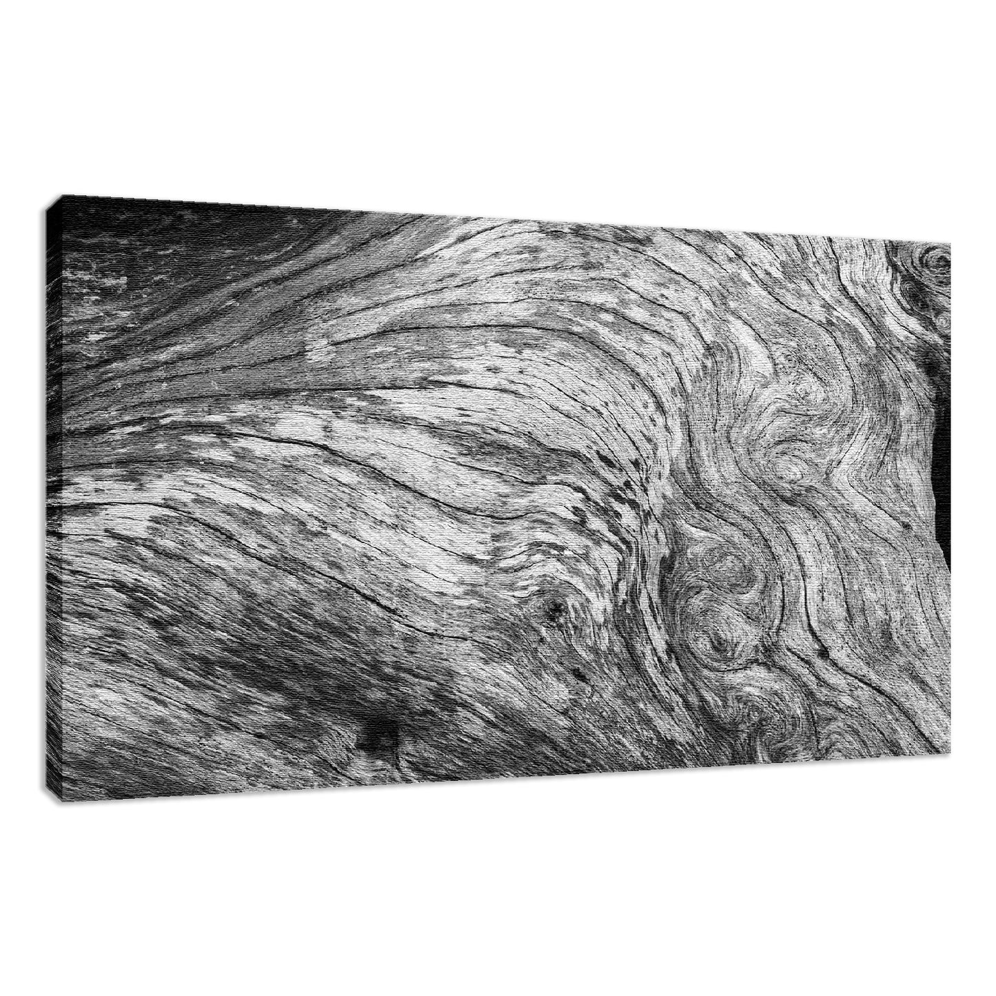 Farmhouse Style Wall Art: Dead Tree Boneyard Beach Florida Texture Close-up 2 Black and White Rustic Nature Photo Fine Art Canvas Wall Art Print