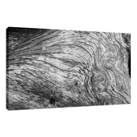 Farmhouse Style Wall Art: Dead Tree Boneyard Beach Florida Texture Close-up 2 Black and White Rustic Nature Photo Fine Art Canvas Wall Art Print