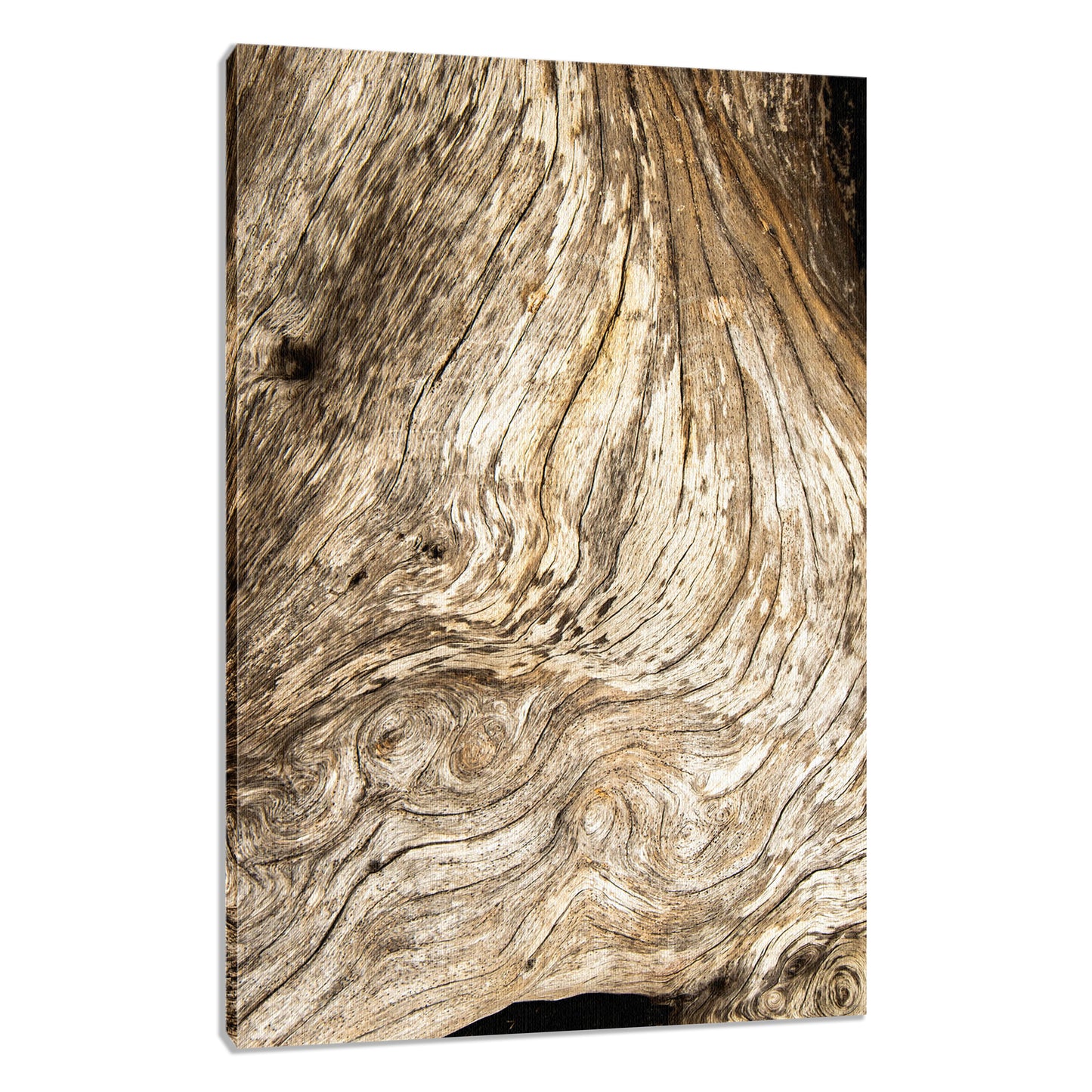 Large Rustic Beach Art For Wall: Dead Tree Boneyard Beach Florida Texture Close-up 3 Rustic Nature Photo Fine Art Canvas Wall Art Print