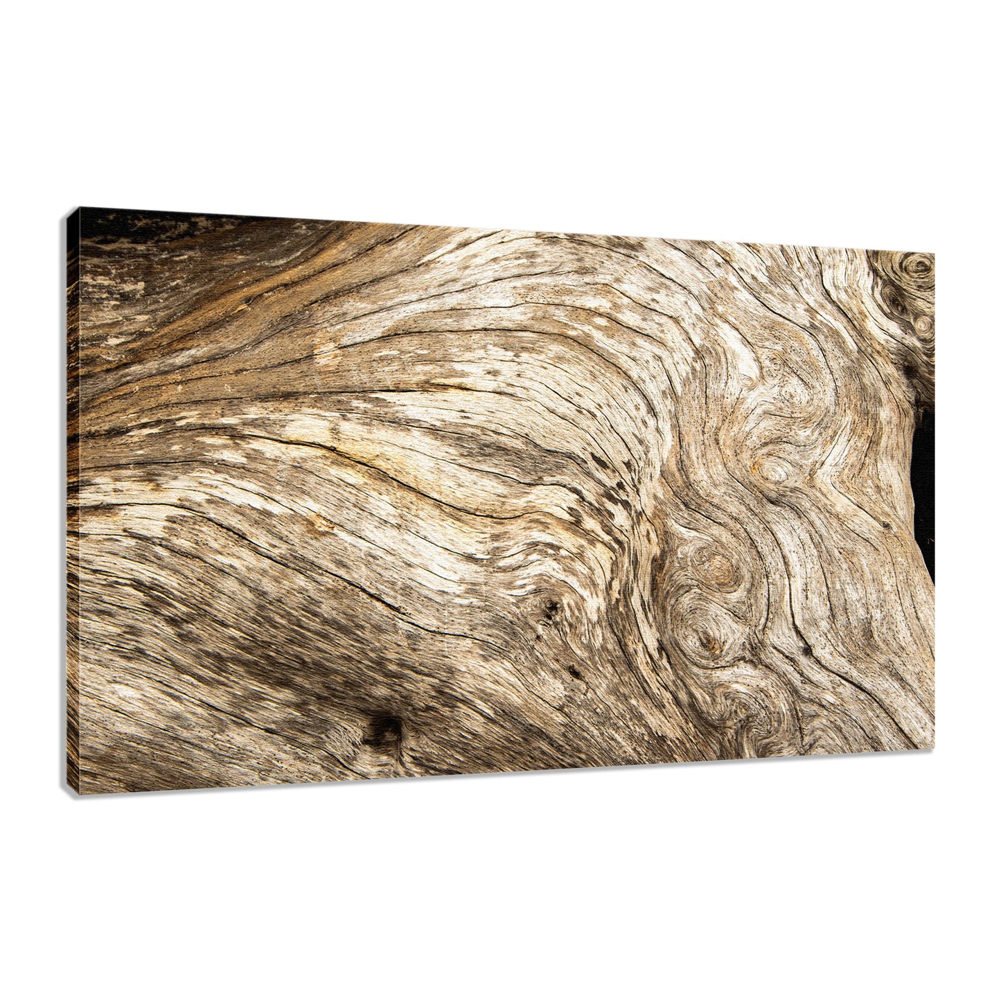 Large Beach Art For Wall: Dead Tree Boneyard Beach Florida Texture Close-up 3 Rustic Nature Photo Fine Art Canvas Wall Art Print