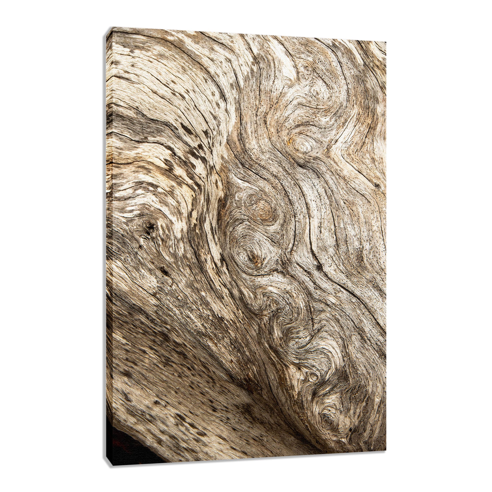 Country Wall Decor: Dead Tree Boneyard Beach Florida Texture Close-up 4 Rustic Nature Photo Fine Art Canvas Wall Art Print