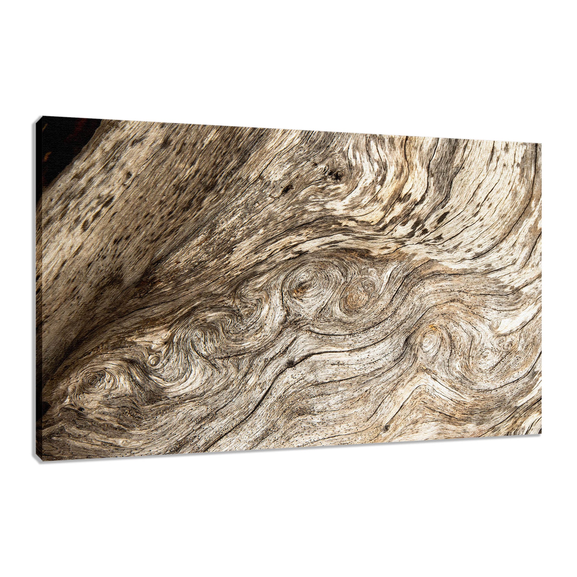 Country Wall Art: Dead Tree Boneyard Beach Florida Texture Close-up 4 Rustic Nature Photo Fine Art Canvas Wall Art Print