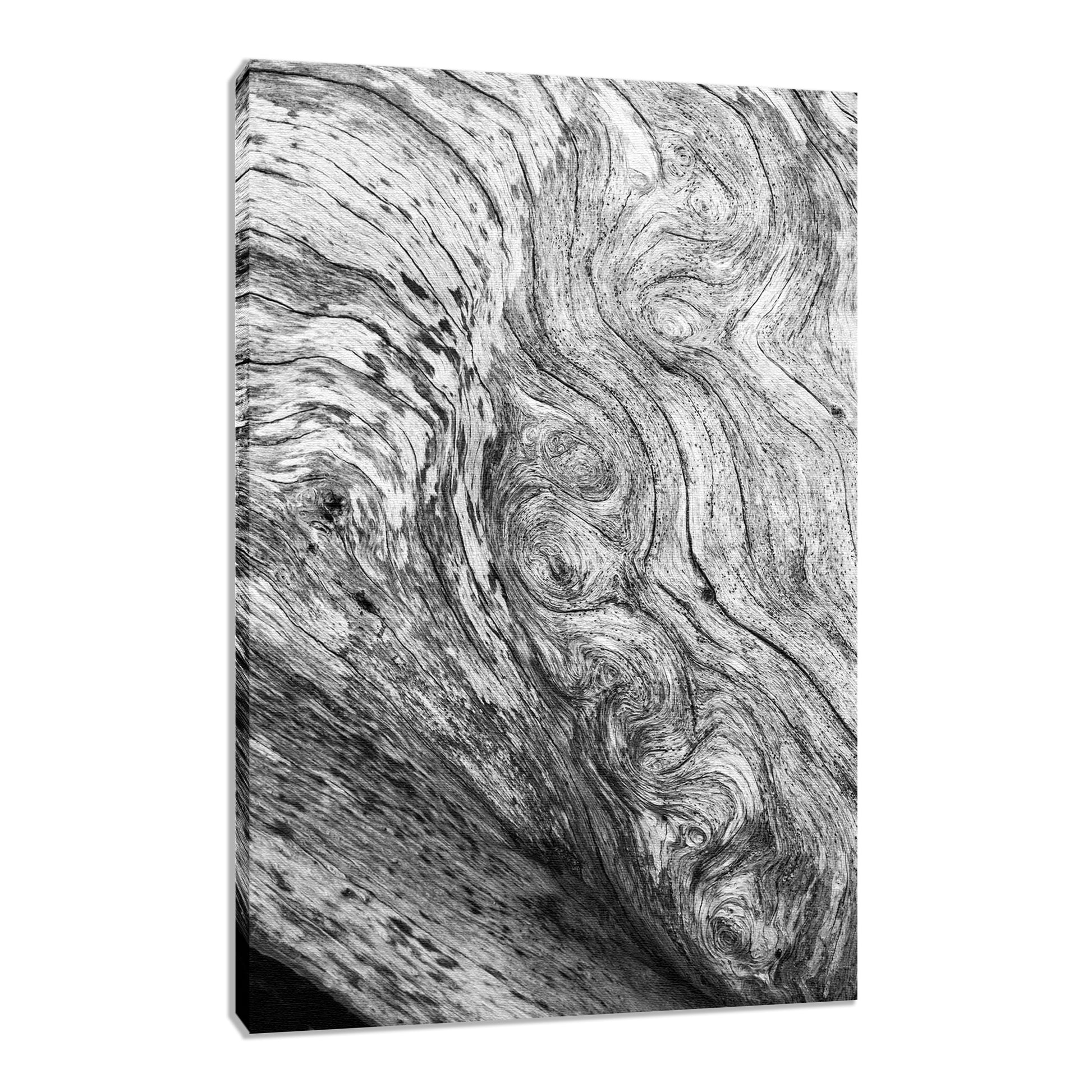 Country Decor Wall Hangings: Dead Tree Boneyard Beach Florida Texture Close-up 5 Black and White Fine Art Canvas Wall Art Print