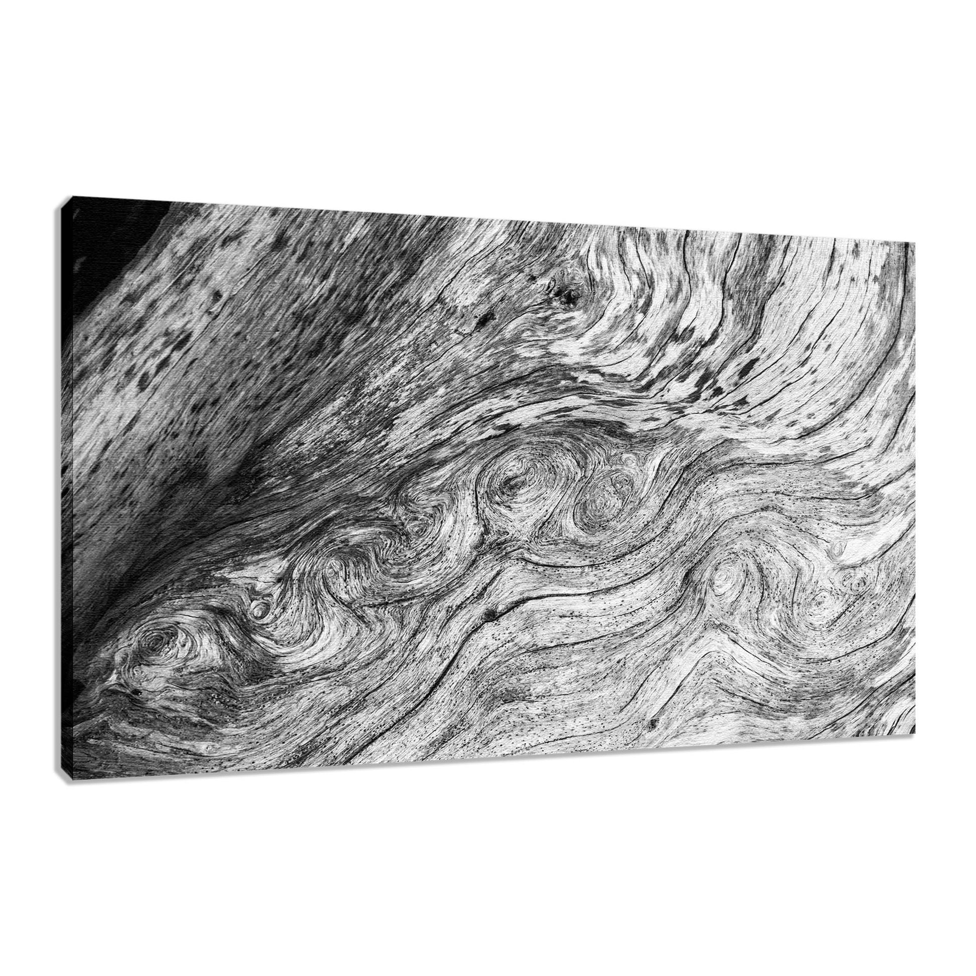 Large Farmhouse Wall Decor: Dead Tree Boneyard Beach Florida Texture Close-up 5 Black and White Fine Art Canvas Wall Art Print