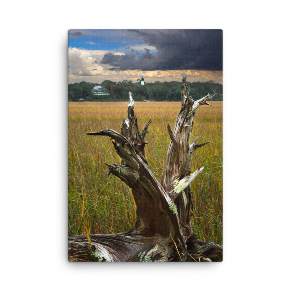 Dead Tree and Amelia Lighthouse Coastal Landscape Photo Canvas Wall Art Prints