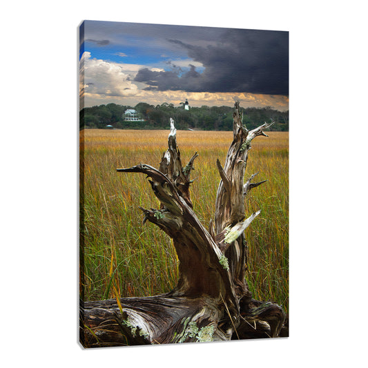 Small Beach Canvas Prints: Dead Tree and Amelia Lighthouse Coastal Landscape Photo Fine Art Canvas Wall Art Print