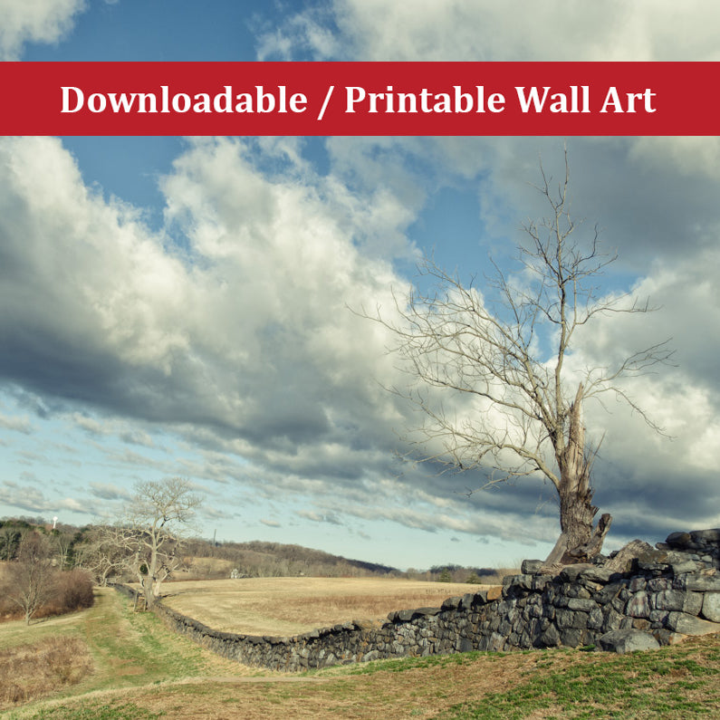 Dead Tree and Stone Wall Split Toned Landscape Photo DIY Wall Decor Instant Download Print - Printable - PIPAFINEART