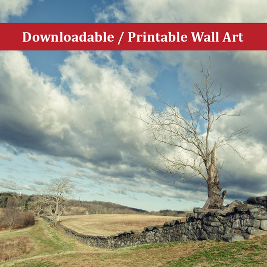 Dead Tree and Stone Wall Split Toned Landscape Photo DIY Wall Decor Instant Download Print - Printable  - PIPAFINEART