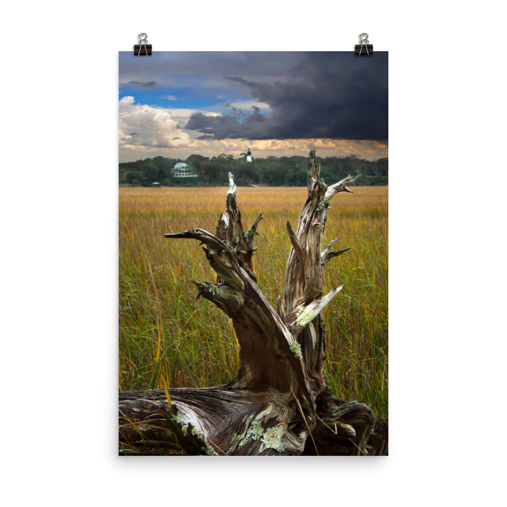 Large Beach Themed Wall Decor: Dead Tree and Amelia Lighthouse Coastal Landscape Photo - Loose Wall Art Prints