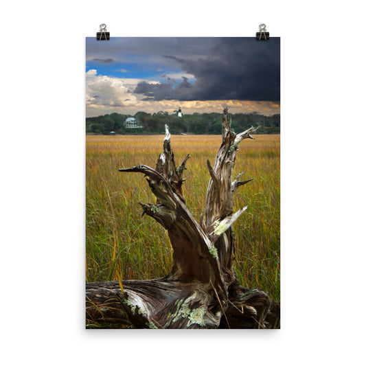 Large Beach Themed Wall Decor: Dead Tree and Amelia Lighthouse Coastal Landscape Photo - Loose Wall Art Prints