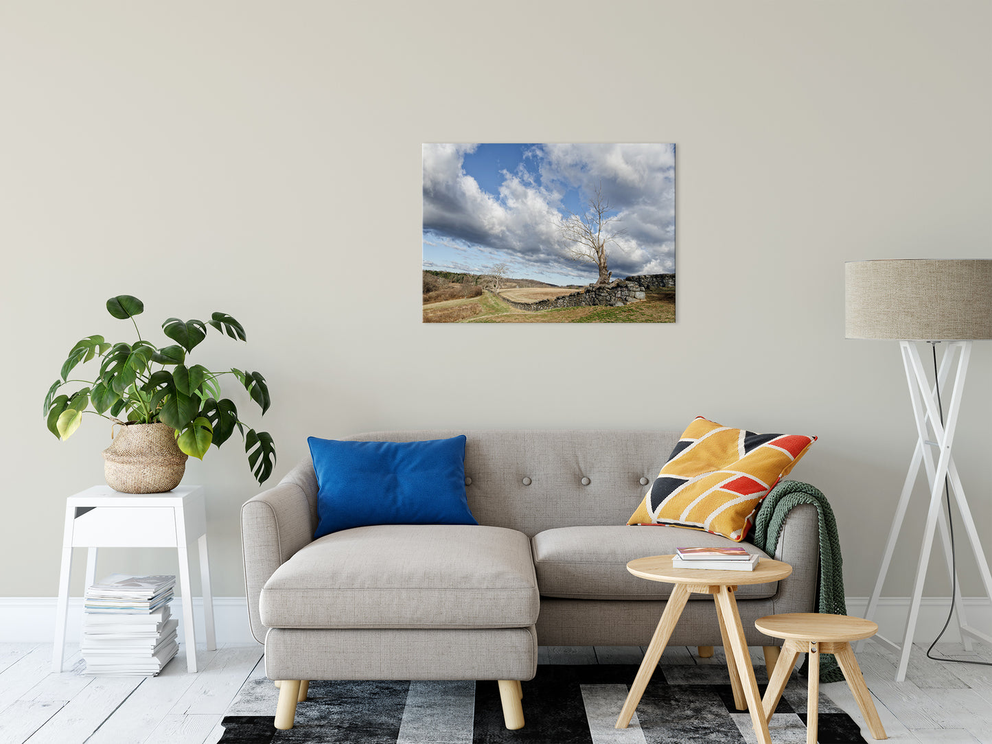 Dead Tree and Stone Wall - Color Fine Art Canvas Wall Art Prints 24" x 36" - PIPAFINEART