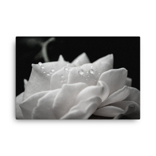 Canvas Art For Hallway: