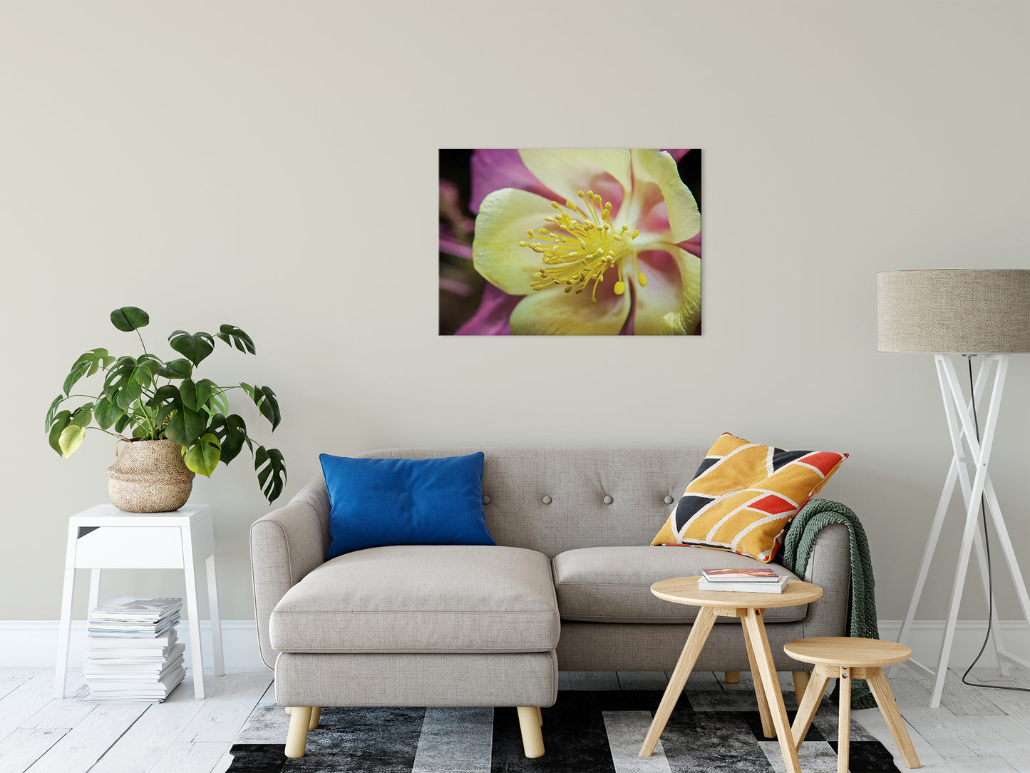 Delicate Columbine Nature / Floral Photo Fine Art Canvas Wall Art Prints 24" x 36" - PIPAFINEART