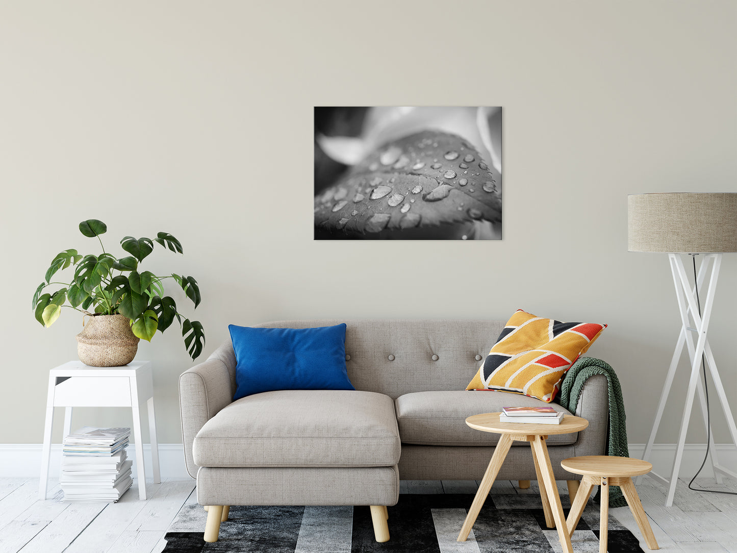 Dew on Leaf of Rose Plant - Black and White - Nature / Floral Photo Fine Art Canvas Wall Art Prints 24" x 36" - PIPAFINEART