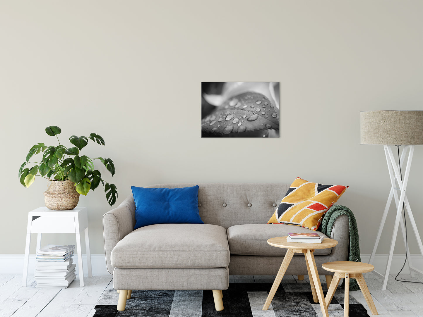 Dew on Leaf of Rose Plant - Black and White - Nature / Floral Photo Fine Art Canvas Wall Art Prints 20" x 24" - PIPAFINEART