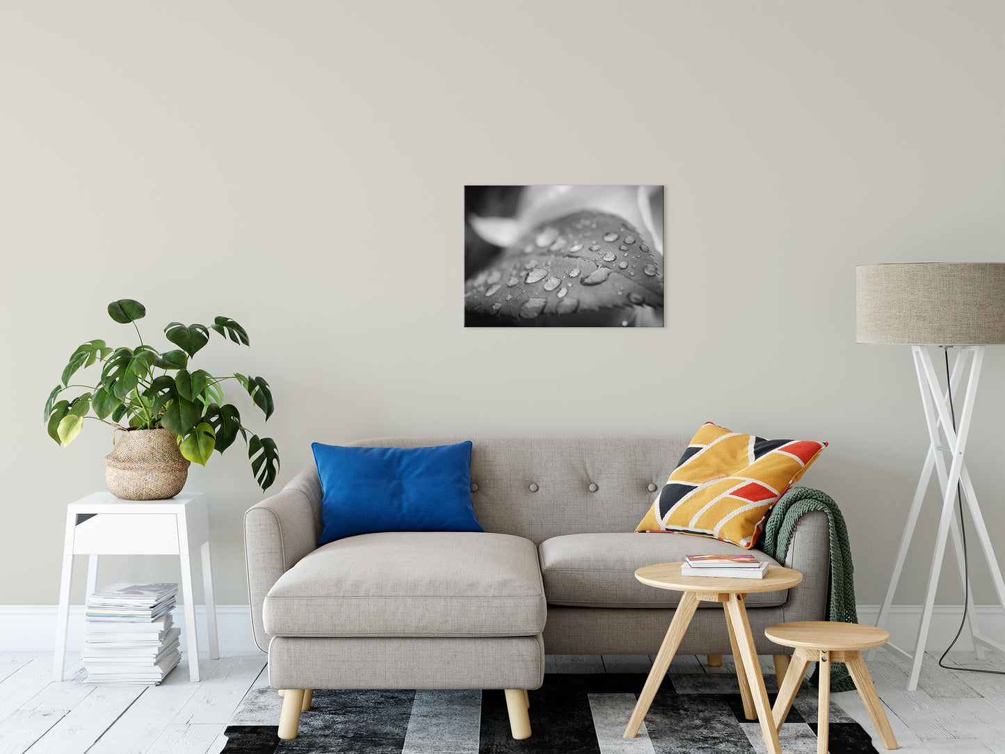 Dew on Leaf of Rose Plant - Black and White - Nature / Floral Photo Fine Art Canvas Wall Art Prints 20" x 30" - PIPAFINEART