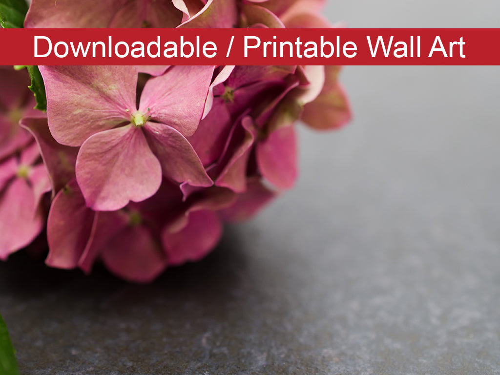Close-Up Hydrangea on Slate Floral Nature Photo DIY Wall Decor Instant Download Print - Printable - PIPAFINEART