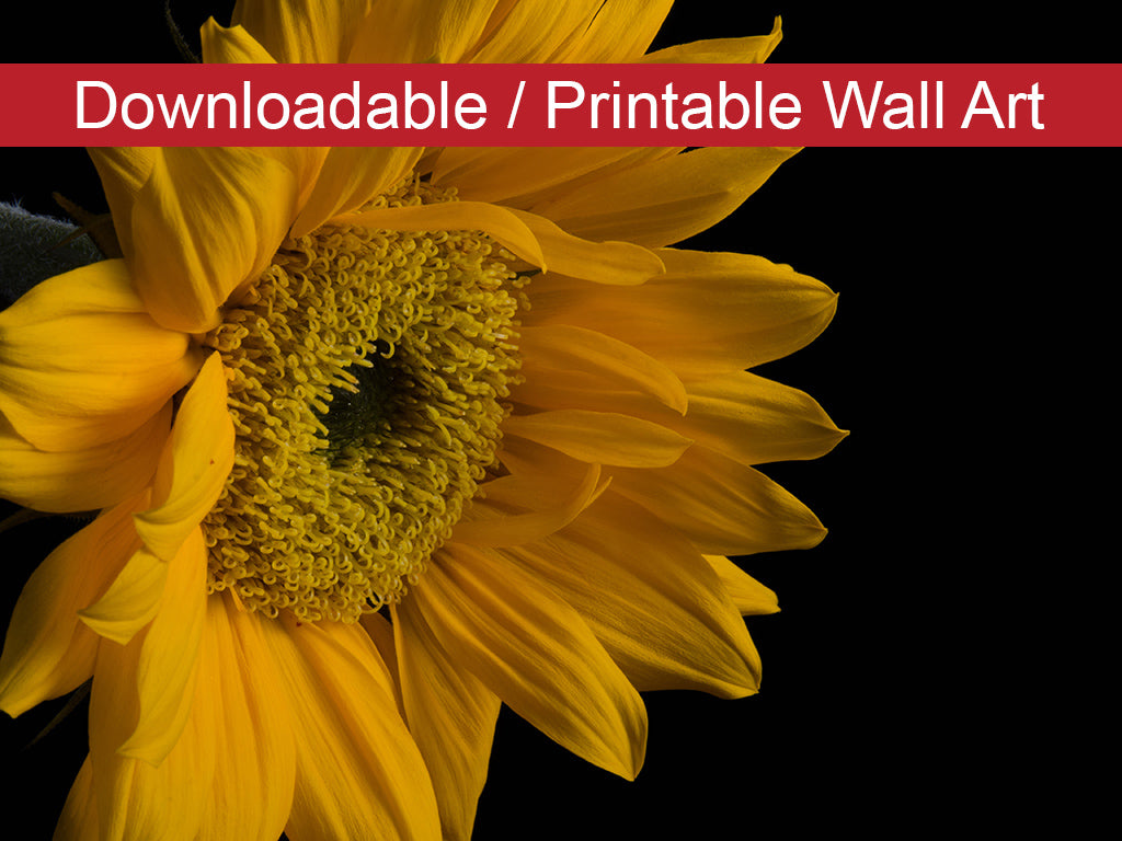 Sunflower from Left DIY Wall Decor Instant Download Print - Printable Wall Art - PIPAFINEART