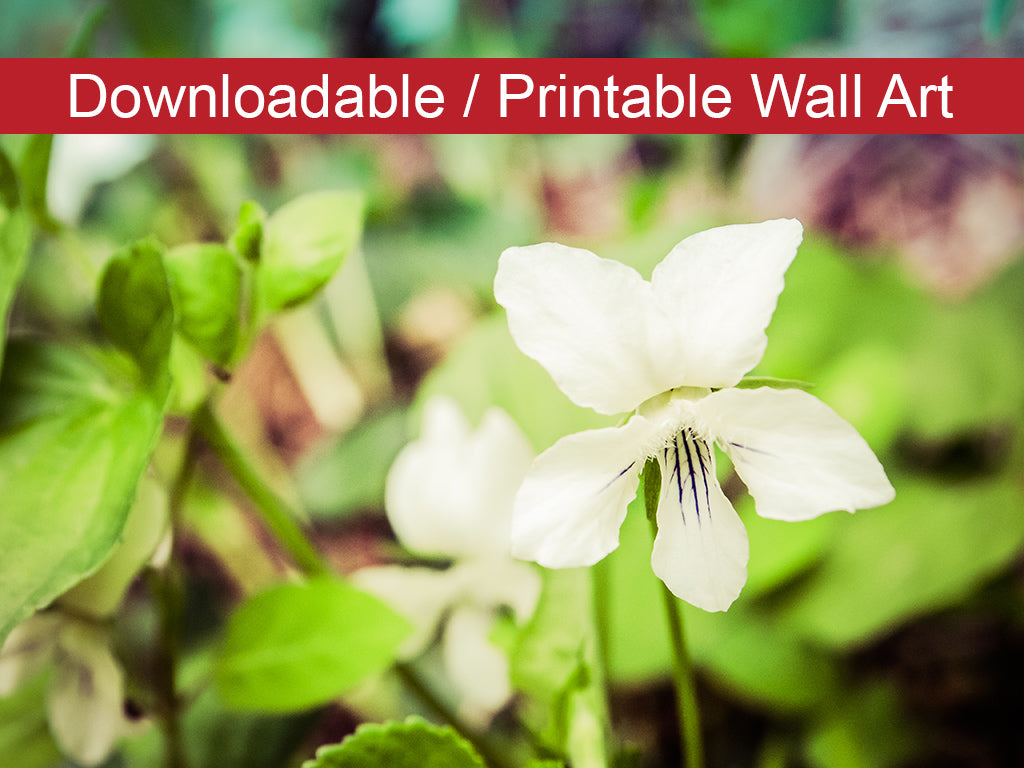 Tranquil China Violet DIY Wall Decor Instant Download Print - Printable Wall Art - PIPAFINEART