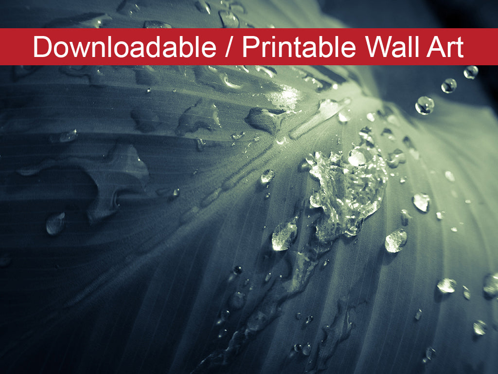 Rain Dropping on Canna Leaf DIY Wall Decor Instant Download Print - Printable Wall Art - PIPAFINEART