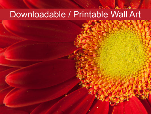 Nature's Beauty DIY Wall Decor Instant Download Print - Printable Wall Art  - PIPAFINEART