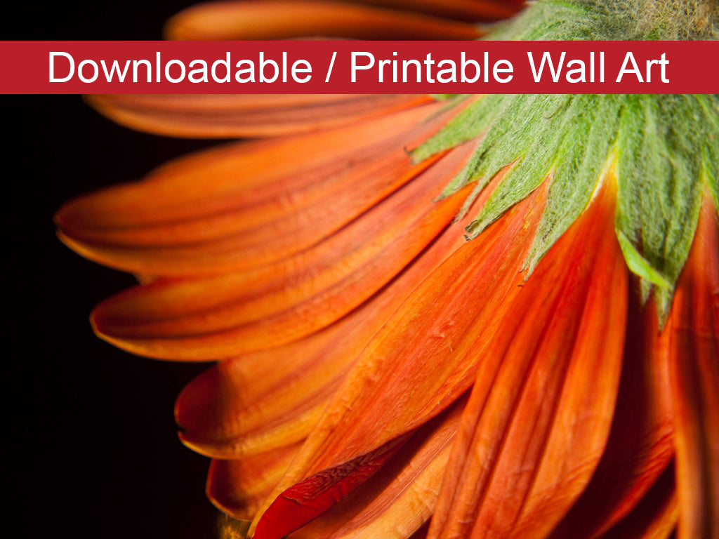 Petite Petals DIY Wall Decor Instant Download Print - Printable Wall Art - PIPAFINEART