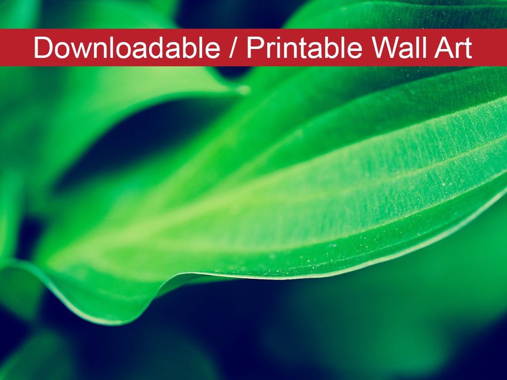 Mellow Hosta Leaves DIY Wall Decor Instant Download Print - Printable - PIPAFINEART