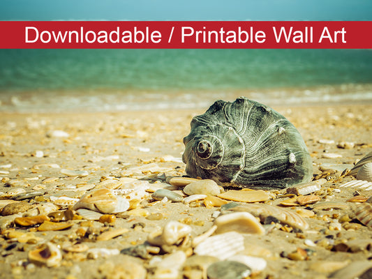 Daydreams on the Shore Coastal Nature Photo DIY Wall Decor Instant Download Print - Printable  - PIPAFINEART