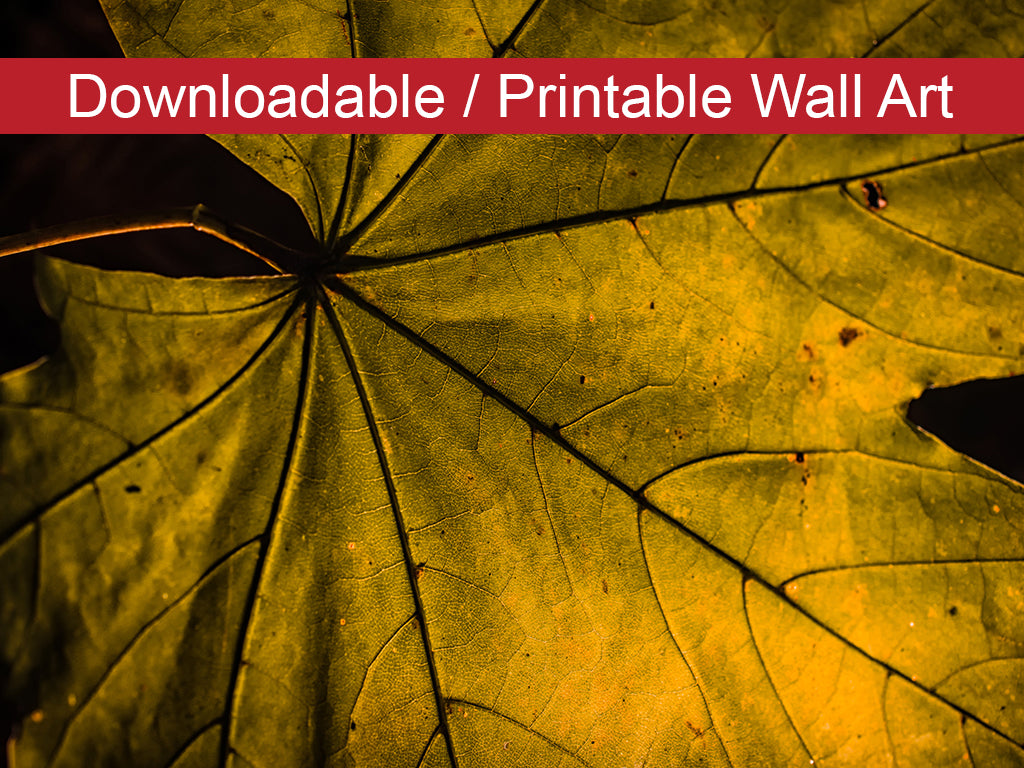 Seasons Change DIY Wall Decor Instant Download Print - Printable Wall Art - PIPAFINEART