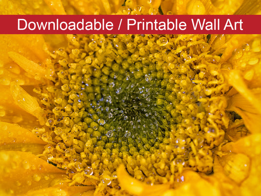 Joyful Color DIY Wall Decor Instant Download Print - Printable Wall Art  - PIPAFINEART