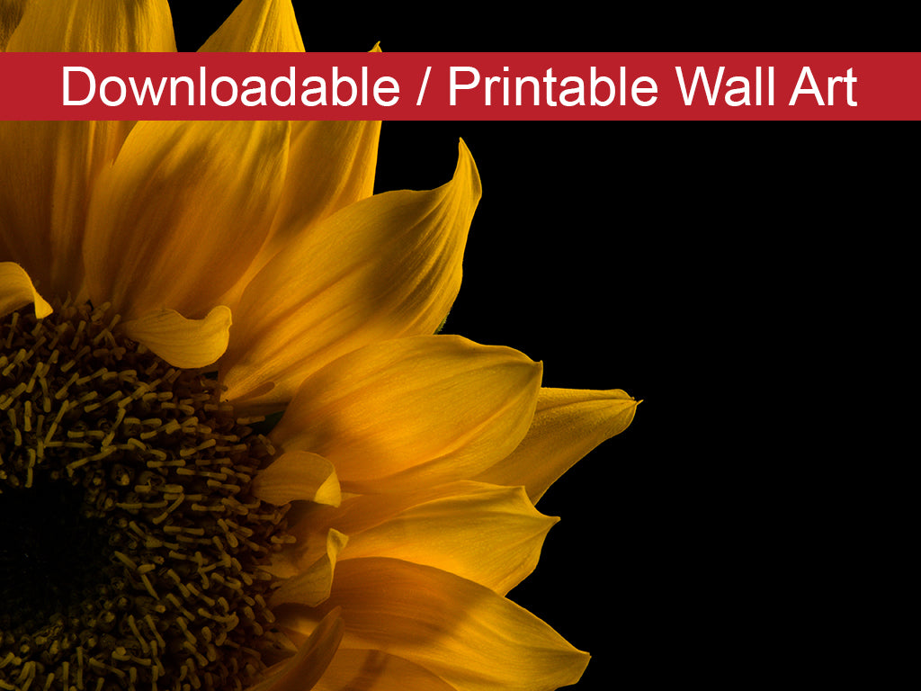 Sunflower in Corner DIY Wall Decor Instant Download Print - Printable Wall Art - PIPAFINEART