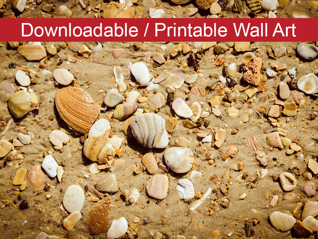 Broken Seashells & Sand Coastal Nature Photo DIY Wall Decor Instant Download Print - Printable - PIPAFINEART