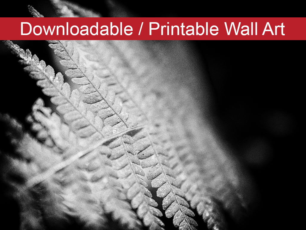 Fern Leaf in the Sunlight Botanical Nature Photo DIY Wall Decor Instant Download Print - Printable  - PIPAFINEART