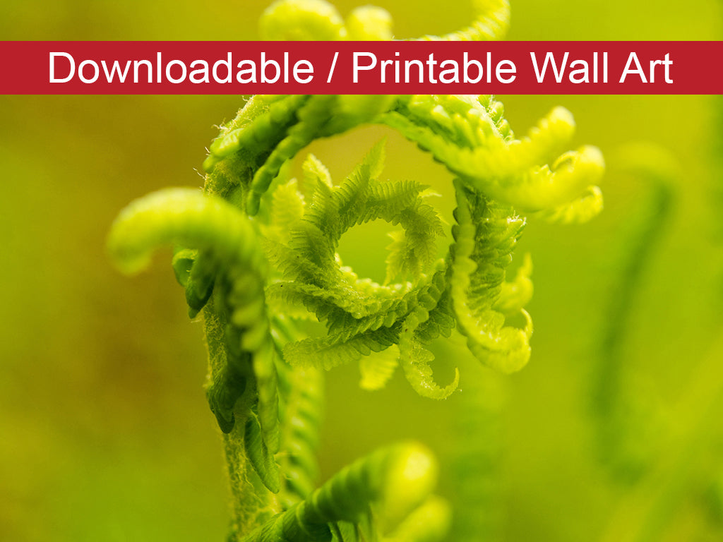 Nature's Perfection DIY Wall Decor Instant Download Print - Printable Wall Art - PIPAFINEART