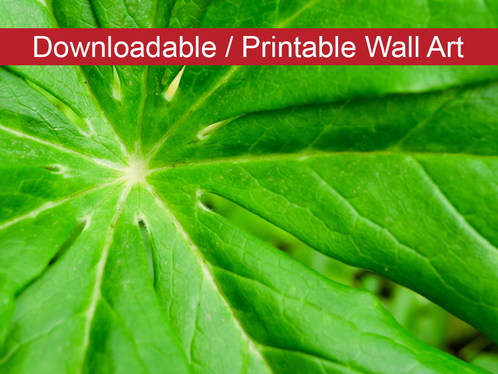 Peaceful Greenery DIY Wall Decor Instant Download Print - Printable Wall Art - PIPAFINEART