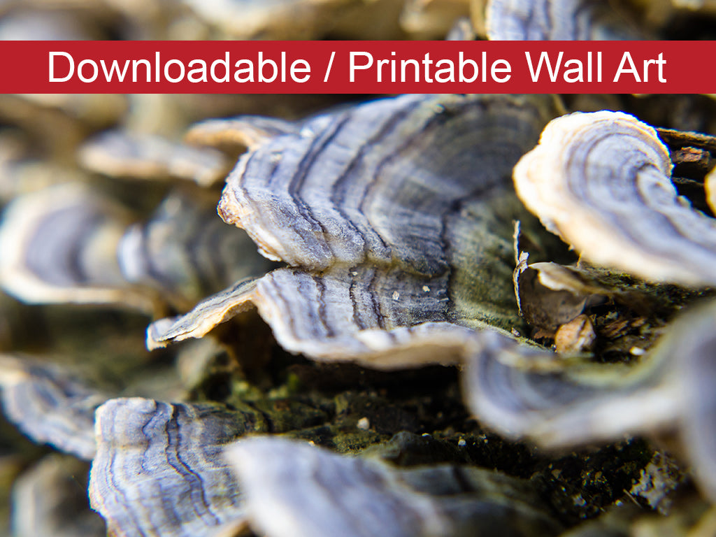 Mushrooms on Log DIY Wall Decor Instant Download Print - Printable Wall Art - PIPAFINEART