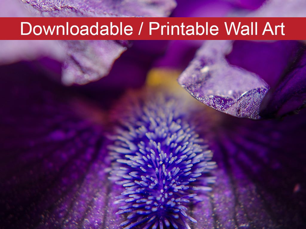 Stigma of Iris DIY Wall Decor Instant Download Print - Printable Wall Art - PIPAFINEART