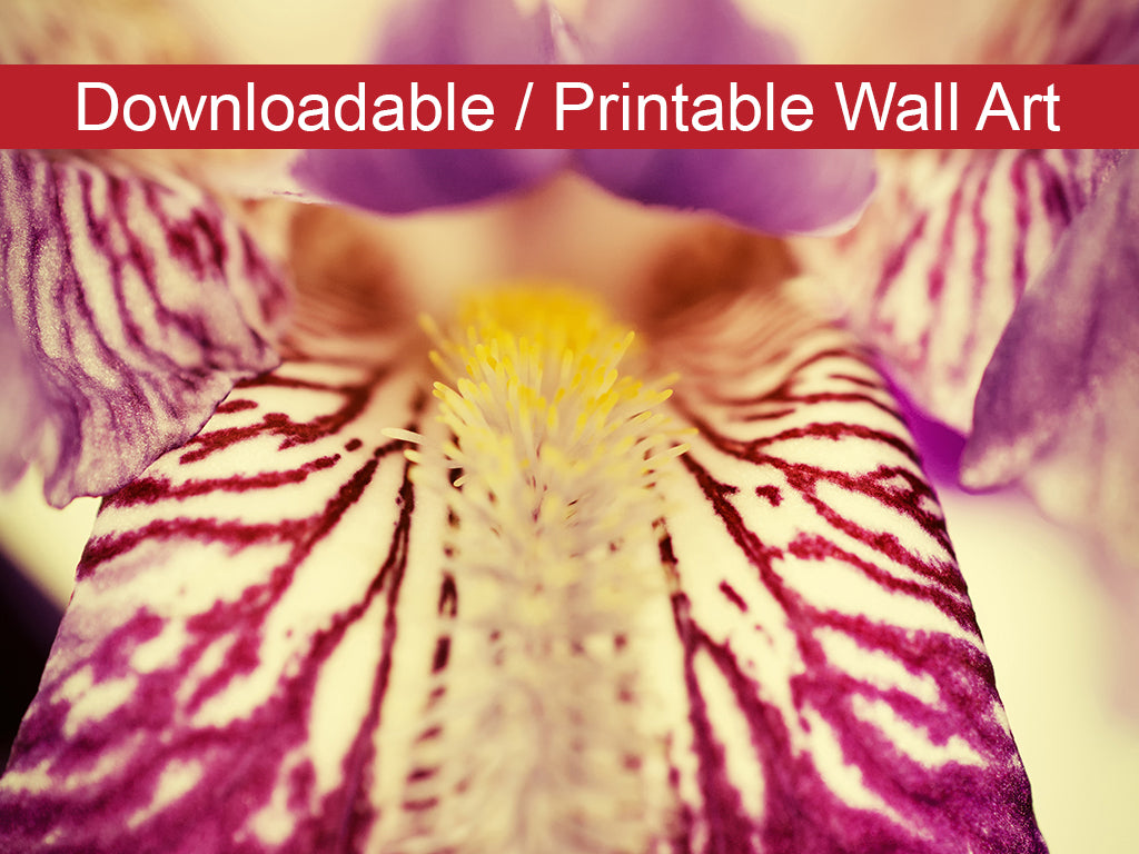 Printable Dining Room Art: Antiqued Iris Floral Nature Photo DIY Wall Decor Instant Download Print - Printable - PIPAFINEART