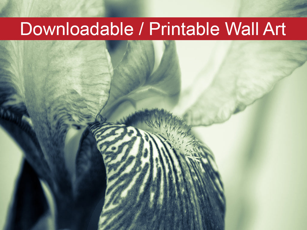 Bedroom Flower Wall Decor: Abstract Japanese Iris Delight Floral Nature Photo DIY Wall Decor Instant Download Print - Printable - PIPAFINEART