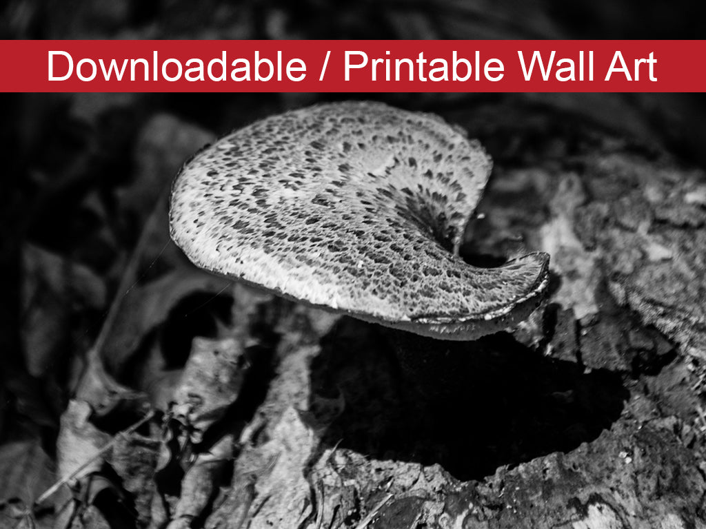 Rustic Bathroom Wall Pictures: Mushroom on Log Black and White DIY Wall Decor Instant Download Print - Printable - PIPAFINEART